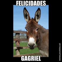 FELICIDADES GAGRIEL