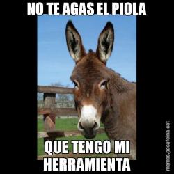NO TE AGAS EL PIOLA QUE TENGO MI HERRAMIENTA