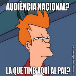 AUDIÈNCIA NACIONAL? LA QUE TINC AQUÍ AL PAL?