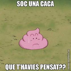 SOC UNA CACA QUE T'HAVIES PENSAT??