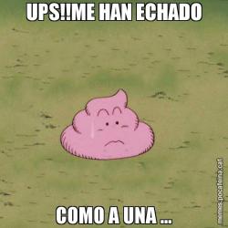 UPS!!ME HAN ECHADO COMO A UNA ...