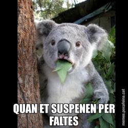 QUAN ET SUSPENEN PER FALTES