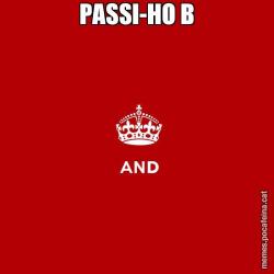 PASSI-HO B