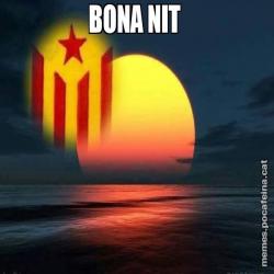 BONA NIT