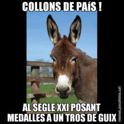 COLLONS DE PAíS ! AL SEGLE XXI POSANT MEDALLES A UN TROS DE GUIX