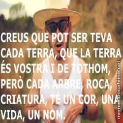 Meme vbs17k