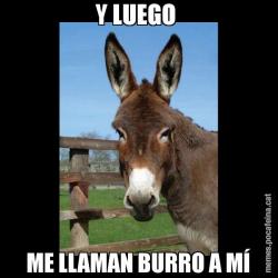 Y LUEGO  ME LLAMAN BURRO A MÍ