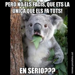 PERÒ NO ELS FACIS, QUE ETS LA ÚNICA QUE ELS FA TOTS! EN SÈRIO???