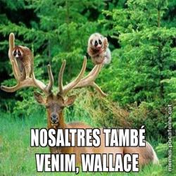 NOSALTRES TAMBÉ VENIM, WALLACE