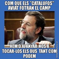 COM QUE ELS "CATALUFOS" AVIAT FOTRAN EL CAMP HEM D'AFANYAR-NOS A TOCAR-LOS ELS OUS  TANT COM PODEM