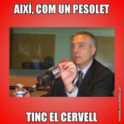 AIXÍ, COM UN PESOLET TINC EL CERVELL