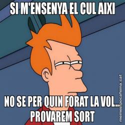 SI M'ENSENYA EL CUL AIXI NO SE PER QUIN FORAT LA VOL... PROVAREM SORT
