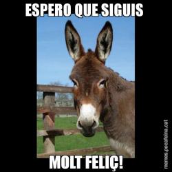 ESPERO QUE SIGUIS  MOLT FELIÇ!