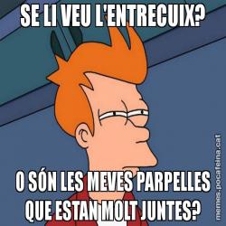 SE LI VEU L'ENTRECUIX? O SÓN LES MEVES PARPELLES QUE ESTAN MOLT JUNTES?