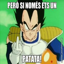 PERÒ SI NOMÉS ETS UN PATATA!
