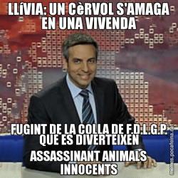 LLíVIA: UN CèRVOL S'AMAGA EN UNA VIVENDA FUGINT DE LA COLLA DE F.D.L.G.P. QUE ES DIVERTEIXEN ASSASSINANT ANIMALS INNOCENTS