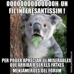 OOOOOOOOOOOOOOH  UN FIL INTERESANTÍSSIM ! PER PODER APRECIAR  EL MISERABLES  QUE ARRIBA A SER ELS FATXES MENJAMERDES DEL FÒRUM