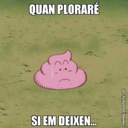 QUAN PLORARÉ SI EM DEIXEN...