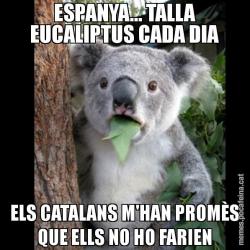 ESPANYA... TALLA EUCALIPTUS CADA DIA ELS CATALANS M'HAN PROMÈS QUE ELLS NO HO FARIEN