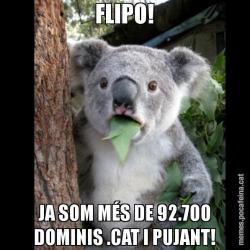 FLIPO! JA SOM MÉS DE 92.700 DOMINIS .CAT I PUJANT!