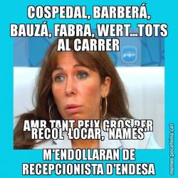 COSPEDAL, BARBERÁ, BAUZÁ, FABRA, WERT...TOTS AL CARRER AMB TANT PEIX GROS PER RECOL·LOCAR, 'NAMÉS' M'ENDOLLARAN DE RECEPCIONISTA D'ENDESA