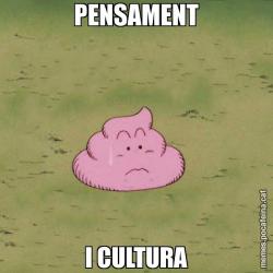 PENSAMENT I CULTURA
