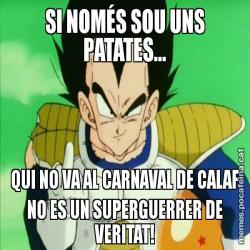 SI NOMÉS SOU UNS PATATES... QUI NO VA AL CARNAVAL DE CALAF NO ES UN SUPERGUERRER DE VERITAT!