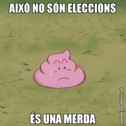 AIXÒ NO SÓN ELECCIONS ÉS UNA MERDA