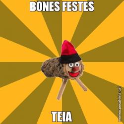 BONES FESTES TEIA