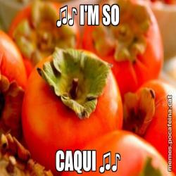 ♫♪ I'M SO CAQUI ♫♪