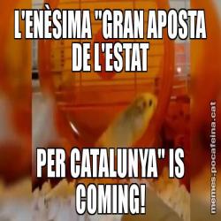 L'ENÈSIMA "GRAN APOSTA DE L'ESTAT PER CATALUNYA" IS COMING!