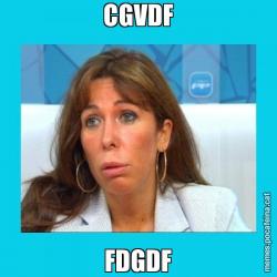 CGVDF FDGDF