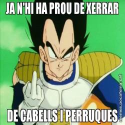 JA N'HI HA PROU DE XERRAR DE CABELLS I PERRUQUES