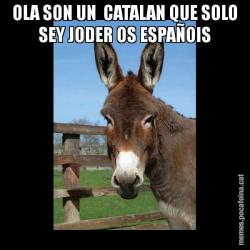 OLA SON UN  CATALAN QUE SOLO SEY JODER OS ESPAÑOIS