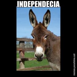 INDEPENDECIA