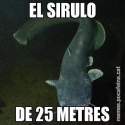 EL SIRULO DE 25 METRES