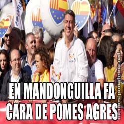EN MANDONGUILLA FA CARA DE POMES AGRES