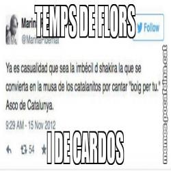 TEMPS DE FLORS I DE CARDOS