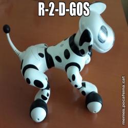 R-2-D-GOS