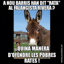 A NOU BARRIS HAN DIT "RATA" AL FALANGISTA RIVERA ? ...QUINA MANERA D'OFENDRE LES POBRES RATES !