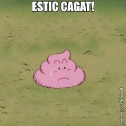 ESTIC CAGAT!