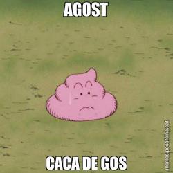 AGOST CACA DE GOS