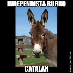 INDEPENDISTA BURRO CATALAN