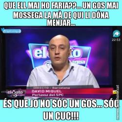 QUE ELL MAI HO FARIA??... UN GOS MAI MOSSEGA LA MÀ DE QUI LI DÓNA MENJAR... ÉS QUE JO NO SÓC UN GOS... SÓC UN CUC!!!