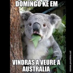 DOMINGO KE EM VINDRAS A VEURE A AUSTRALIA