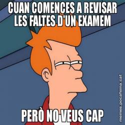CUAN COMENCES A REVISAR LES FALTES D'UN EXAMEM PERÒ NO VEUS CAP