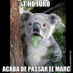 T'HO JURO ACABA DE PASSAR EL MARC
