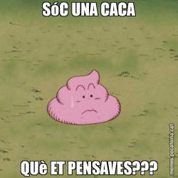 SóC UNA CACA QUè ET PENSAVES???