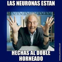 LAS NEURONAS ESTAN HECHAS AL DOBLE HORNEADO