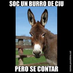 SOC UN BURRO DE CIU PERO SE CONTAR